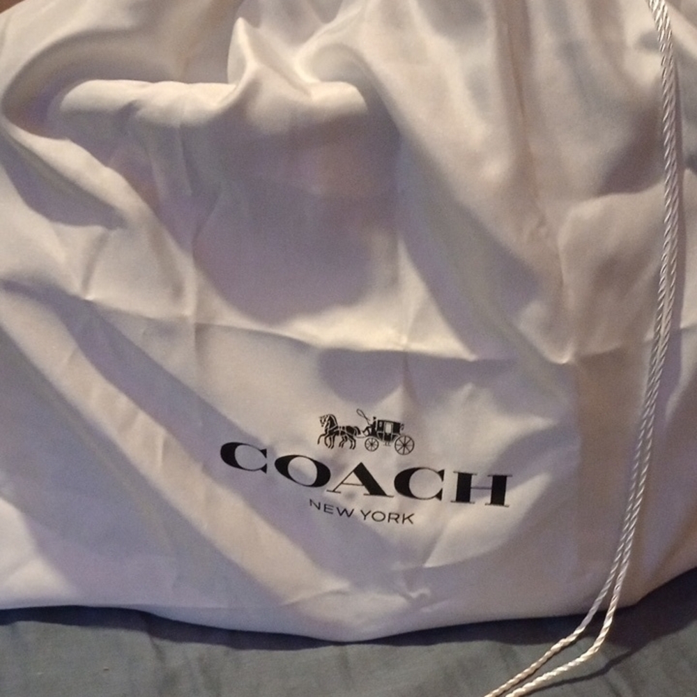 Coach Ivory Storage Bag
